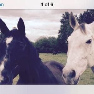 Meet your Posher, Christine